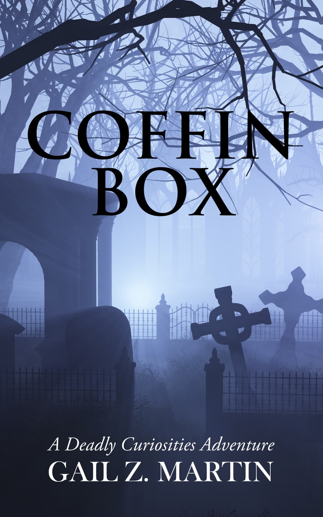 Coffin Box (A Deadly Curiosities Adventure, #9) book cover