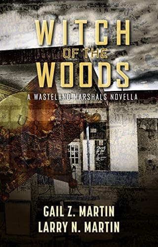 Witch of the Woods book cover