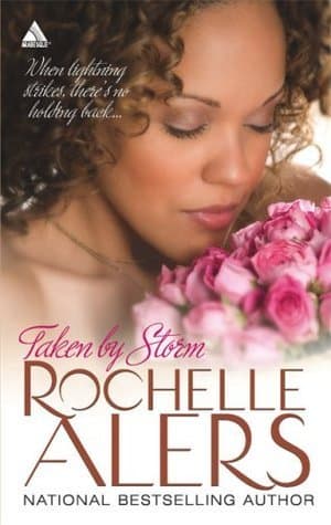 Taken By Storm book cover