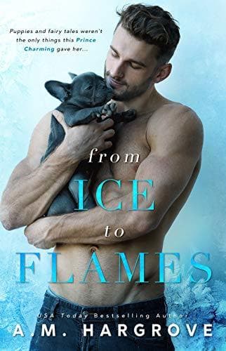 From Ice To Flames book cover