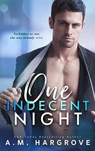 One Indecent Night book cover