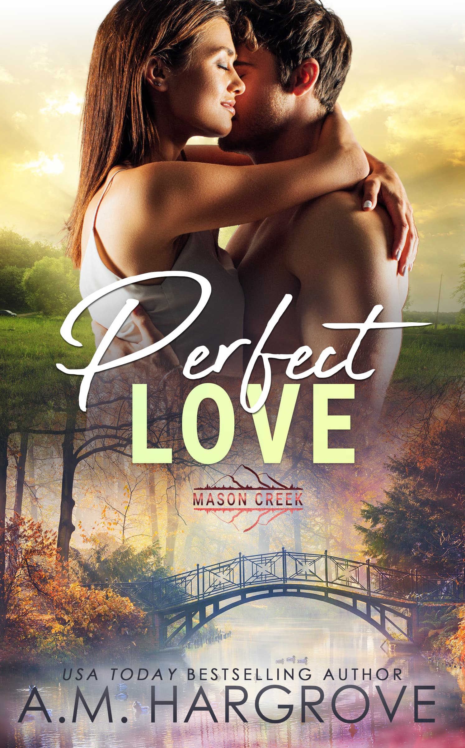 Perfect Love book cover