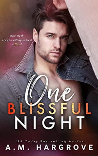 One Blissful Night book cover