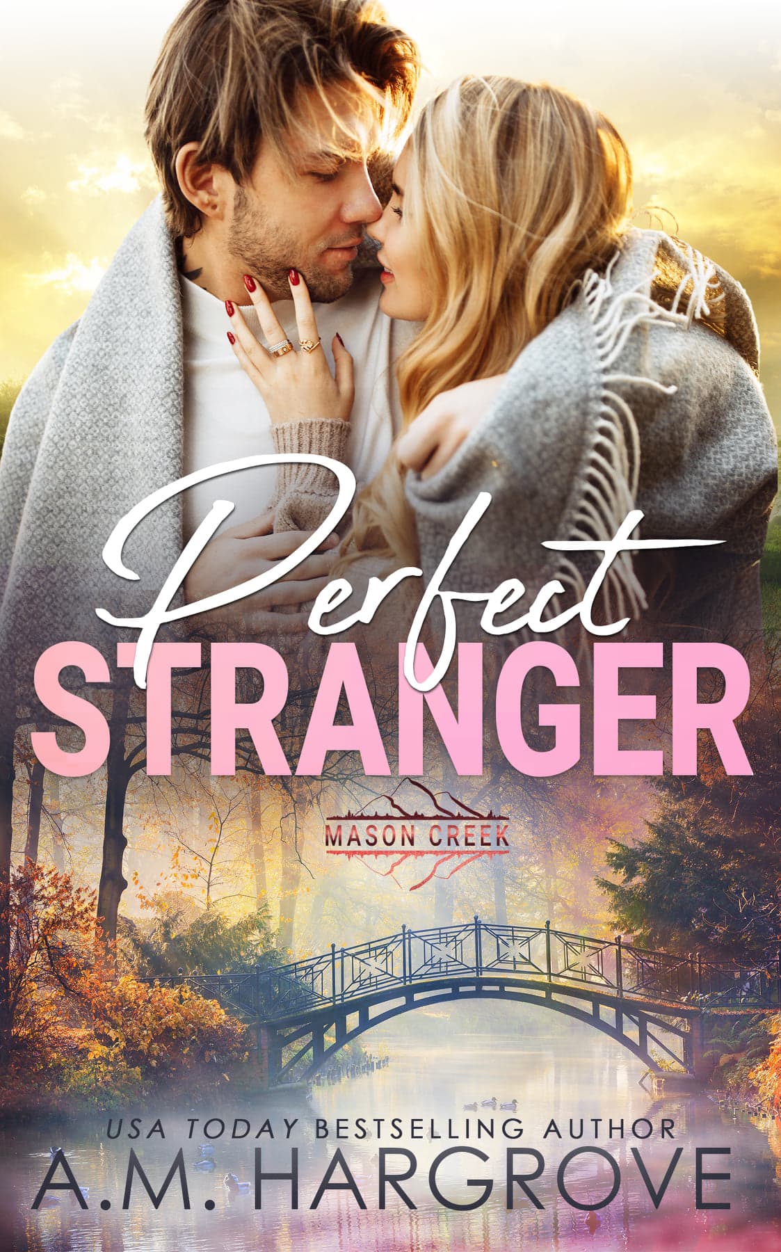 Perfect Stranger book cover