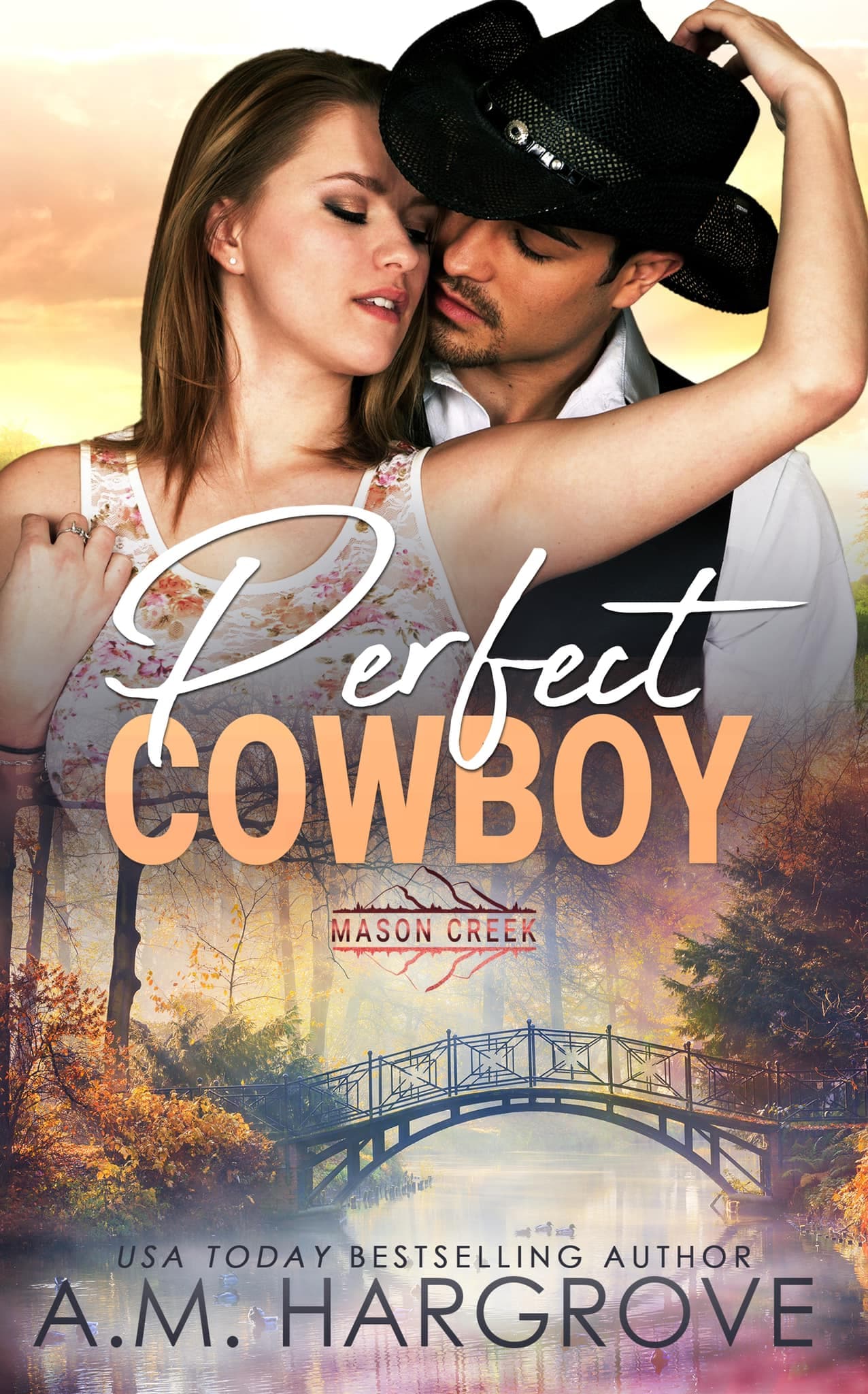 Perfect Cowboy book cover