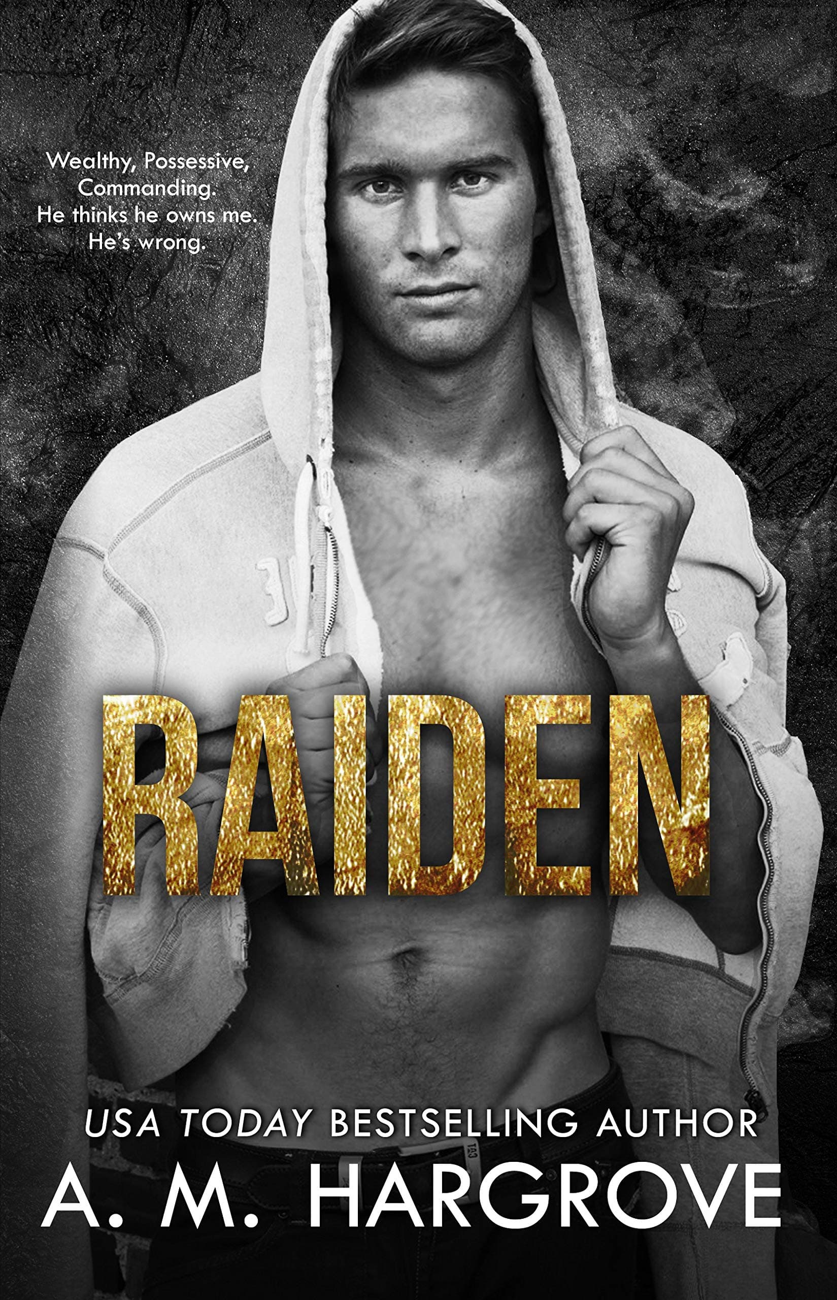 Raiden book cover