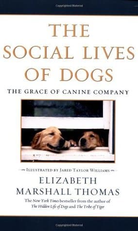 The Social Lives of Dogs: The Grace of Canine Company book cover