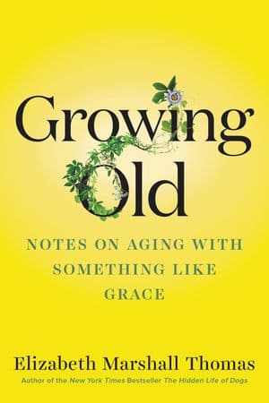 Growing Old: Notes on Aging with Something like Grace book cover