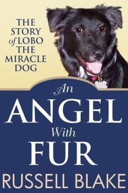 An Angel With Fur book cover