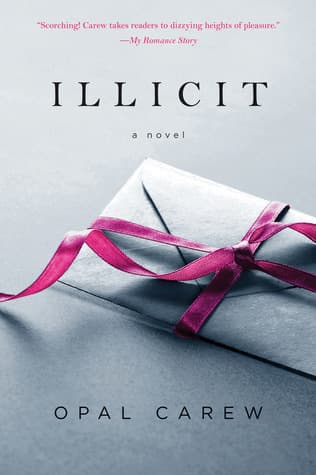 Illicit book cover