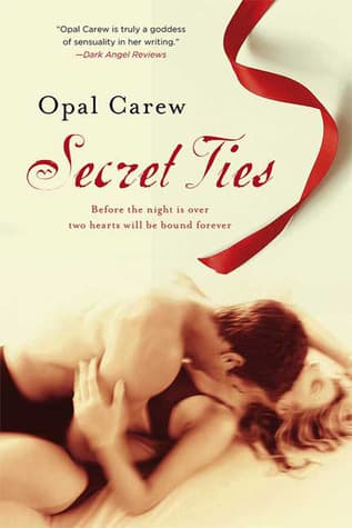 Secret Ties book cover