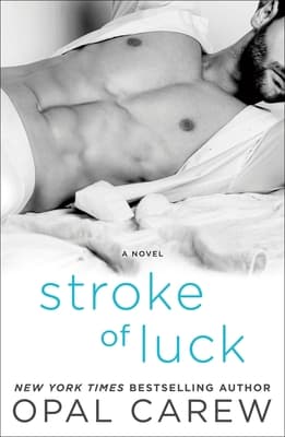 Stroke of Luck book cover