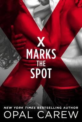 X Marks the Spot book cover