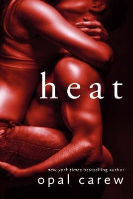 Heat book cover
