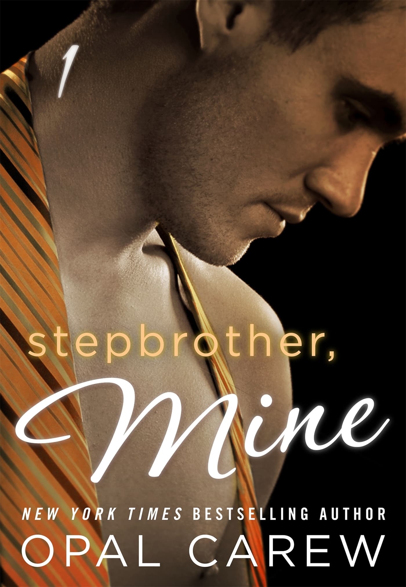 Stepbrother, Mine #1 book cover