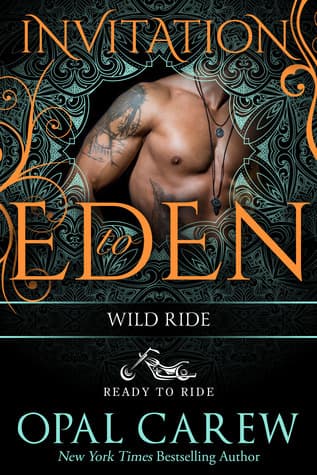 Wild Ride book cover