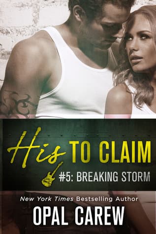 Breaking Storm book cover