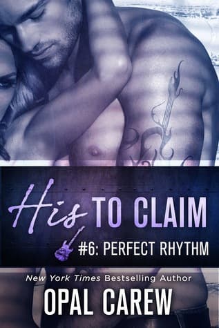 Perfect Rhythm book cover
