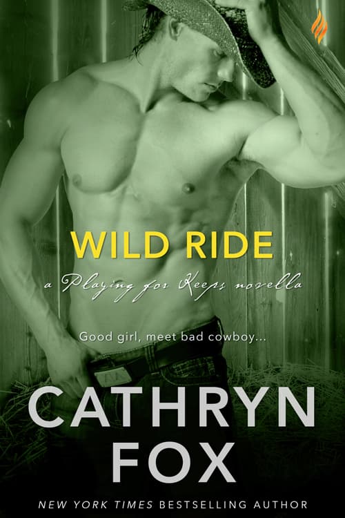 Wild Ride book cover