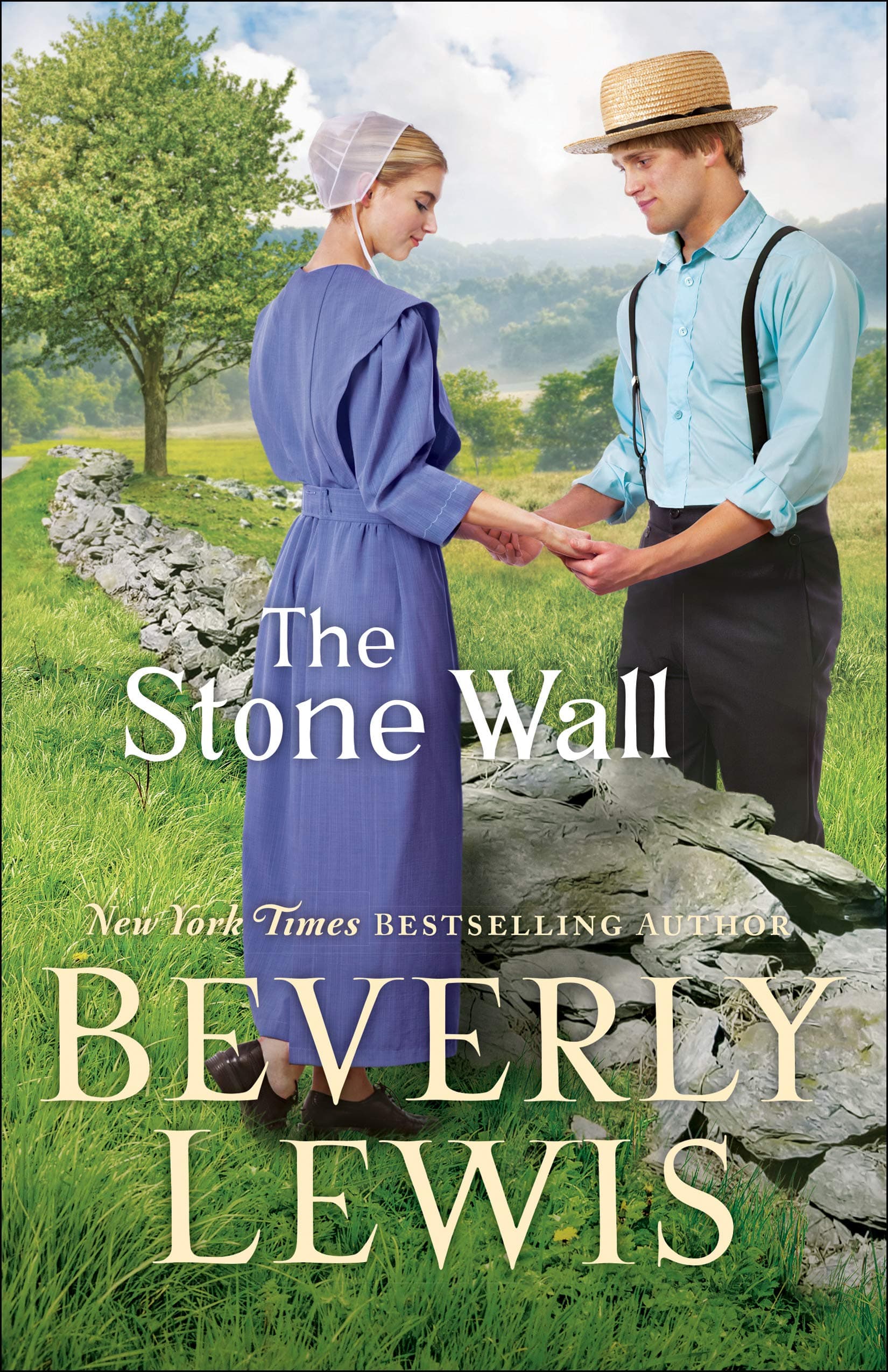 The Stone Wall book cover