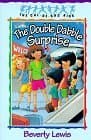 The Double Dabble Surprise book cover