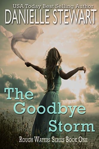 The Goodbye Storm book cover