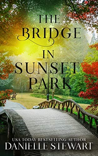 The Bridge in Sunset Park book cover
