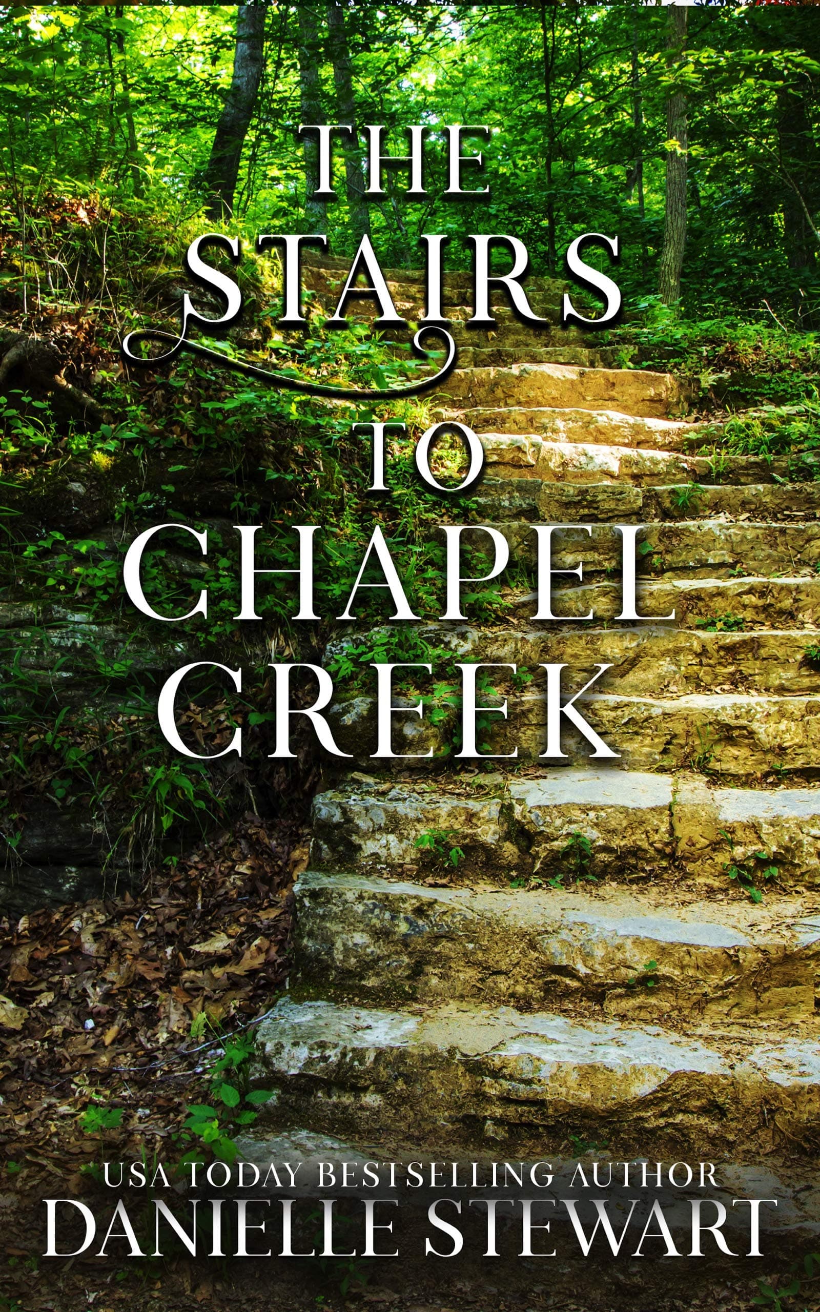The Stairs to Chapel Creek book cover