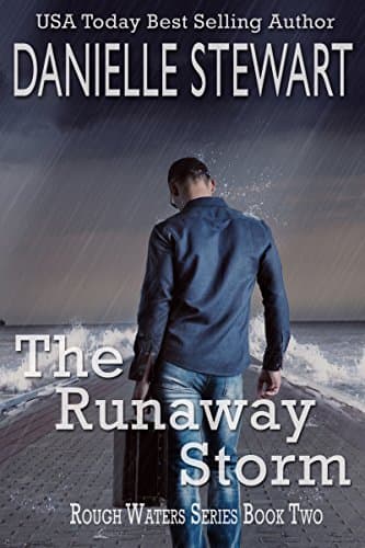 The Runaway Storm book cover