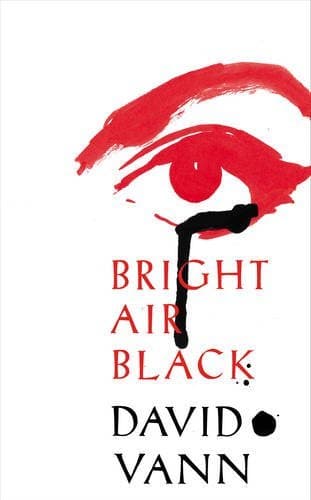 Bright Air Black book cover