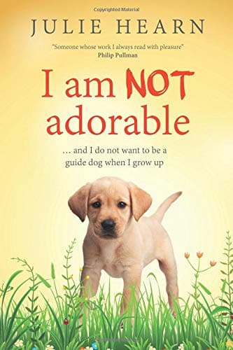 I am NOT adorable book cover