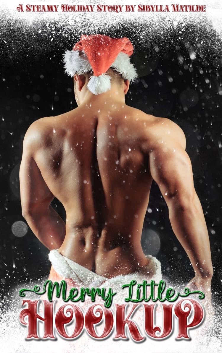 Merry Little Hookup book cover