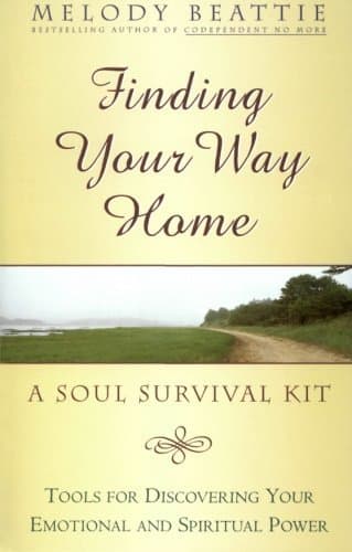 Finding Your Way Home: A Soul Survival Kit book cover