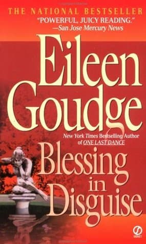 Blessing in Disguise book cover