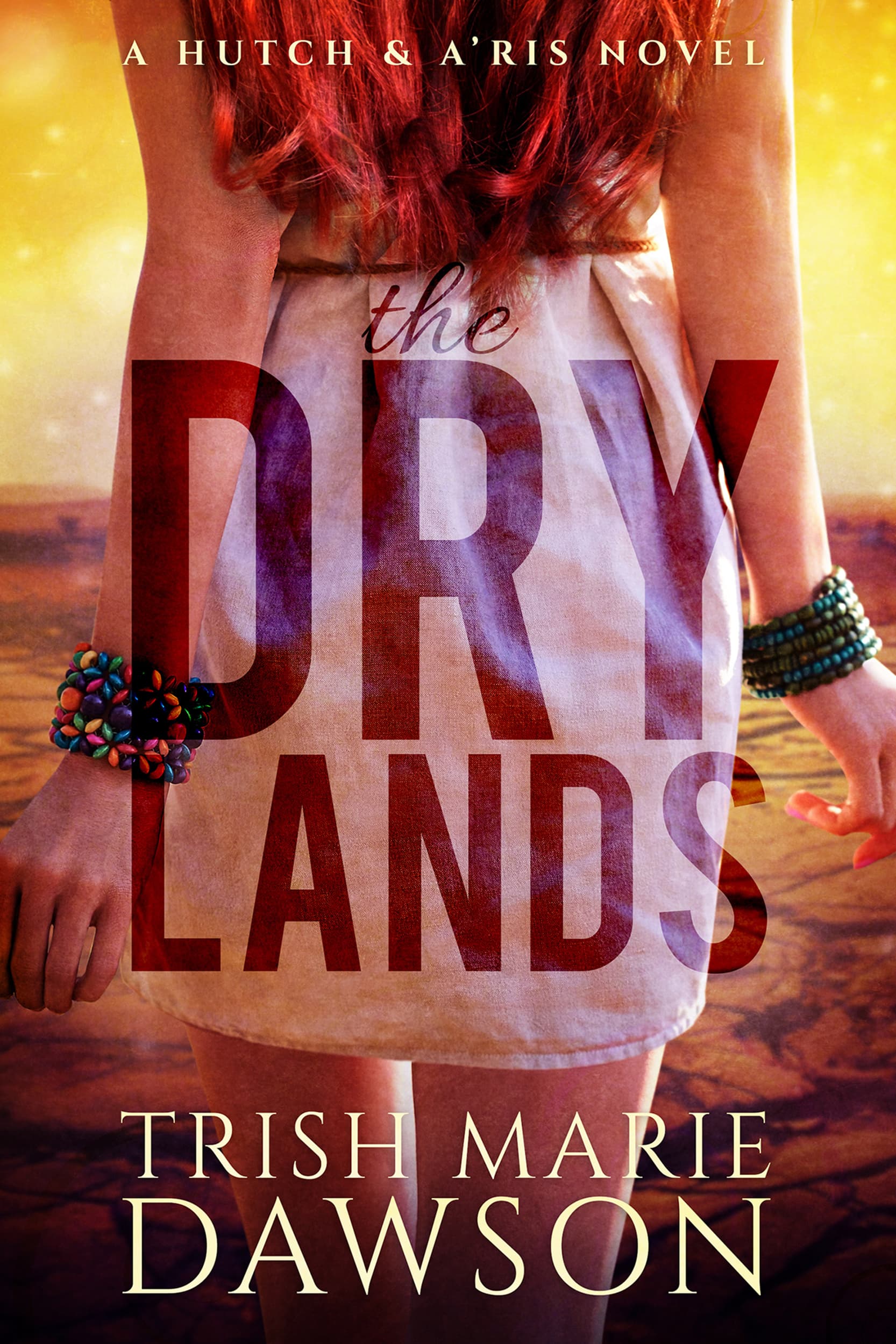 The Dry Lands book cover