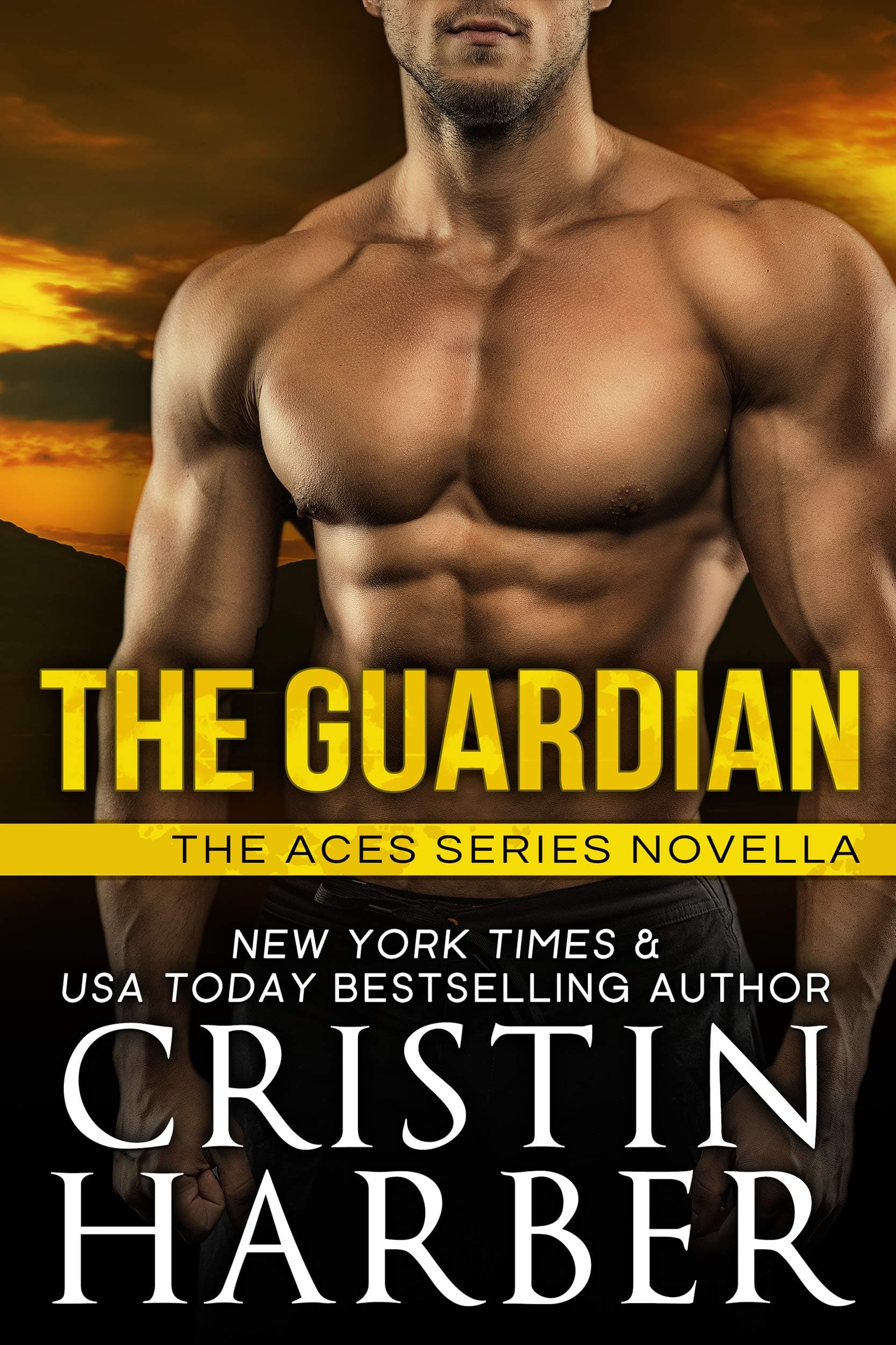 The Guardian book cover