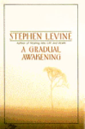 A Gradual Awakening book cover