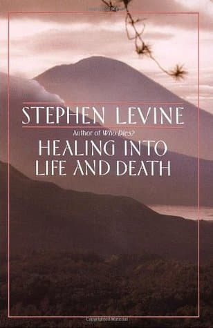 Healing into Life and Death book cover