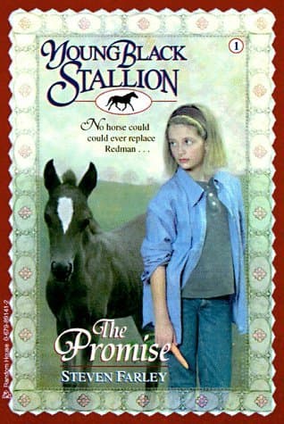 The Promise book cover