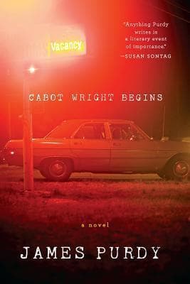 Cabot Wright Begins book cover