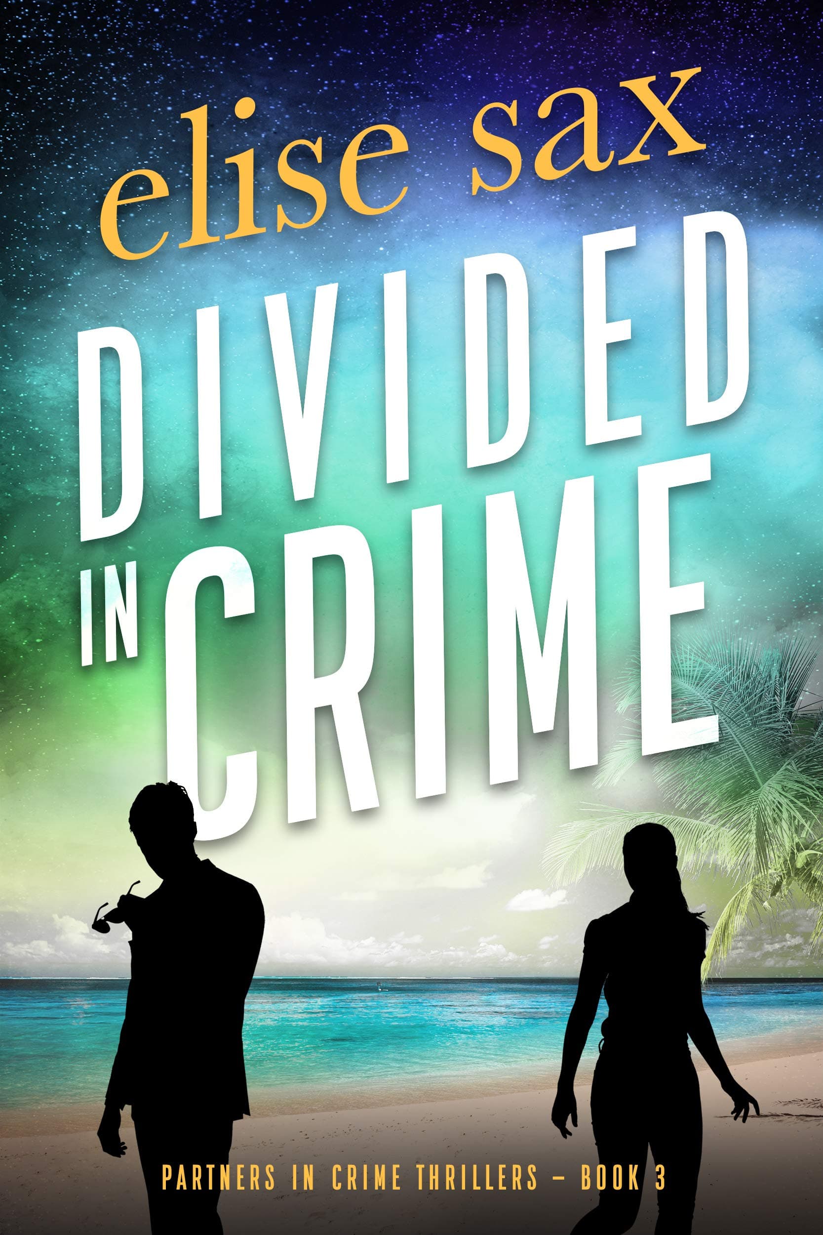 Divided in Crime book cover