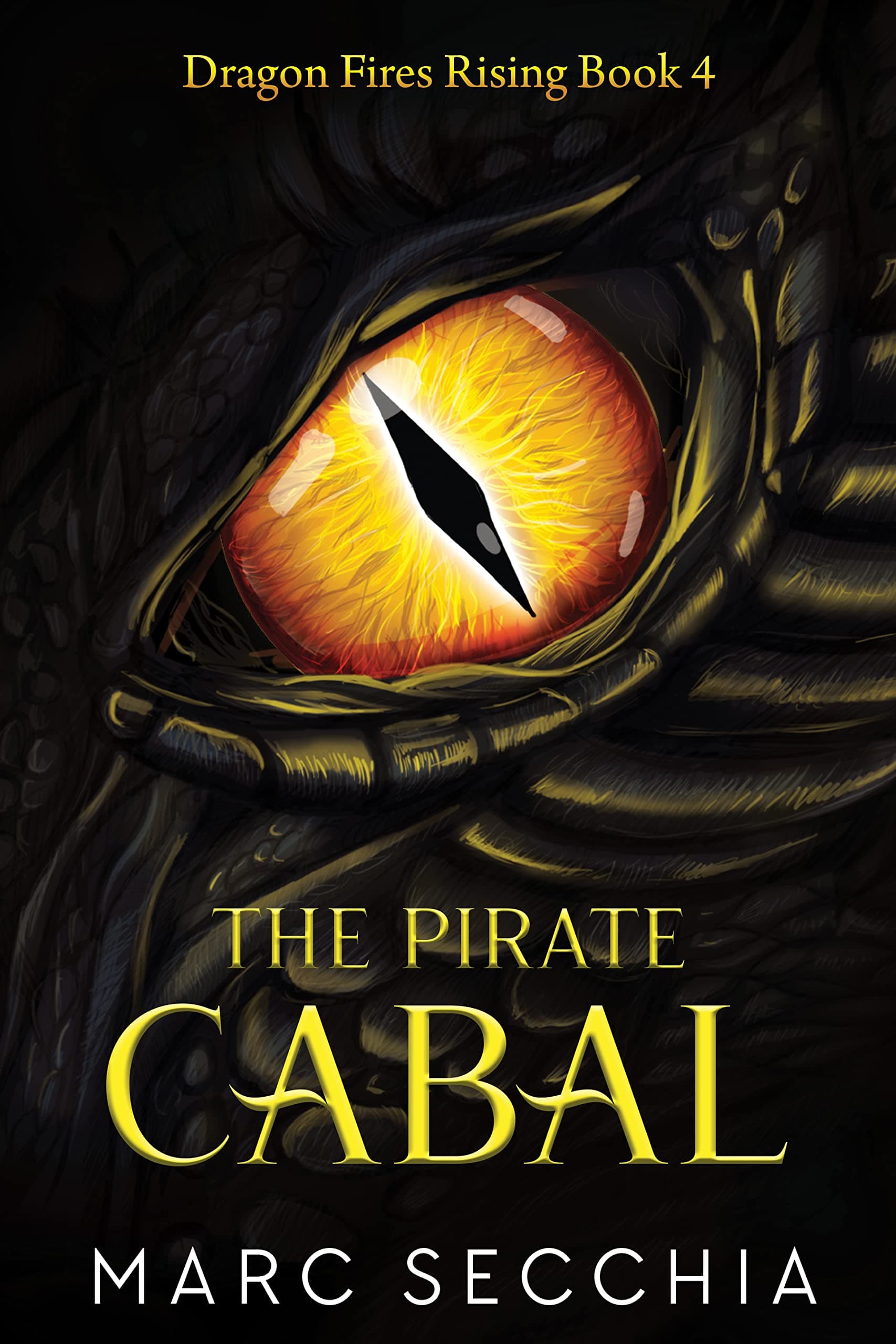 The Pirate Cabal book cover
