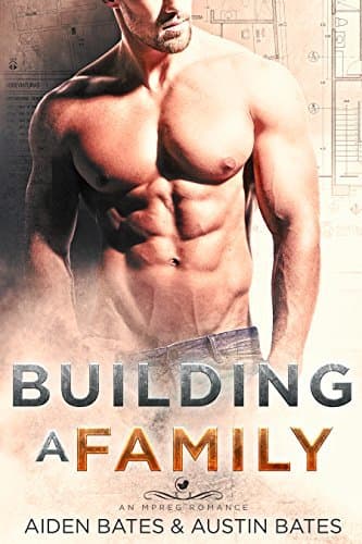 Building a Family book cover