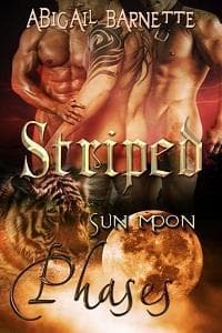 Striped book cover