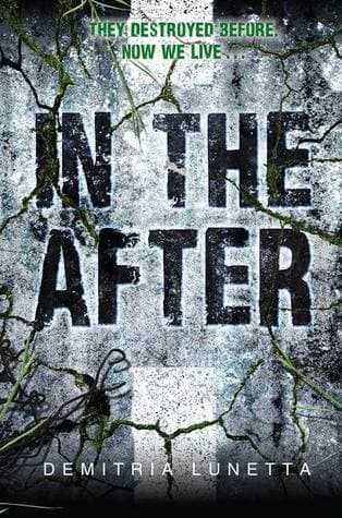 In the After book cover