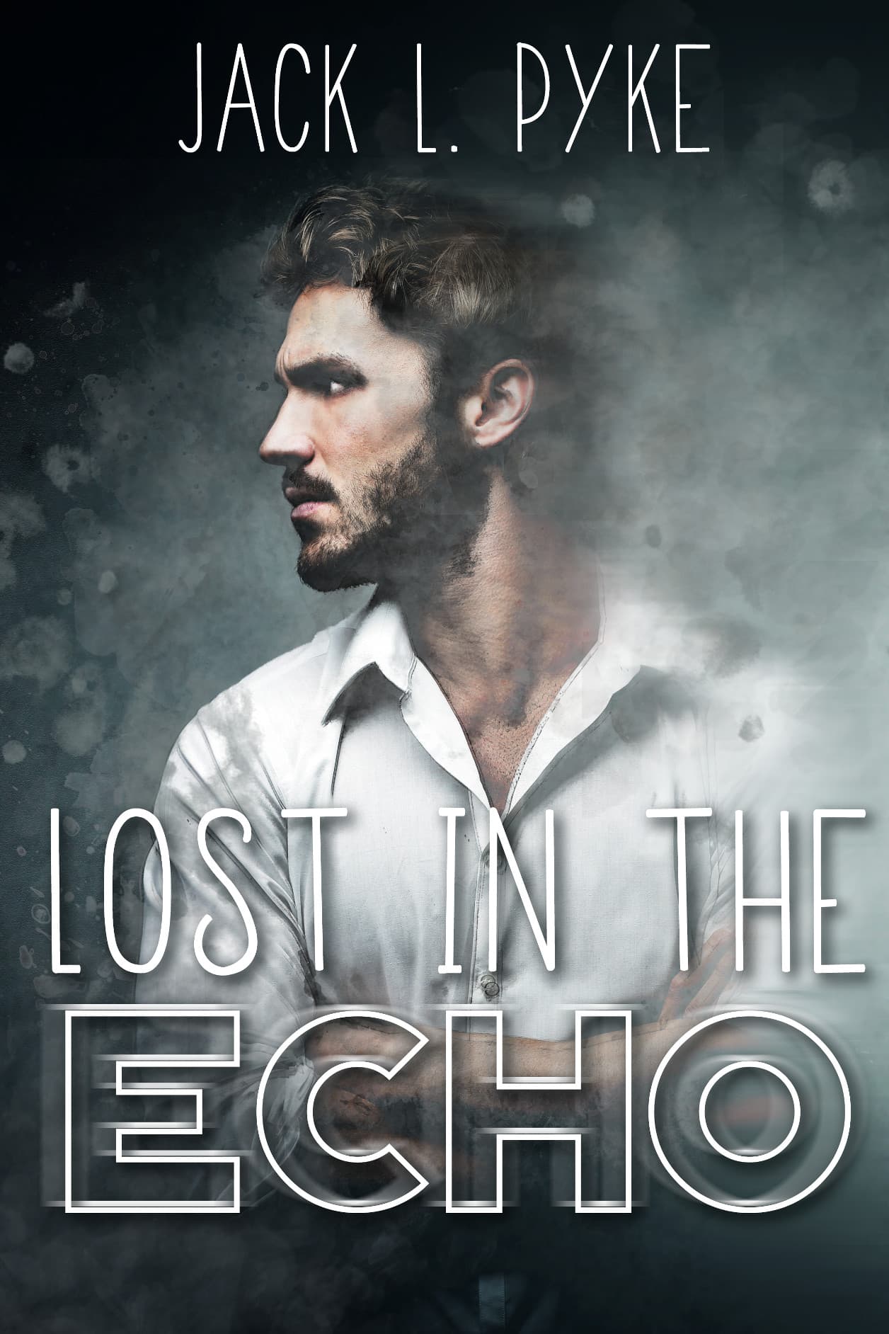 Lost in the Echo book cover