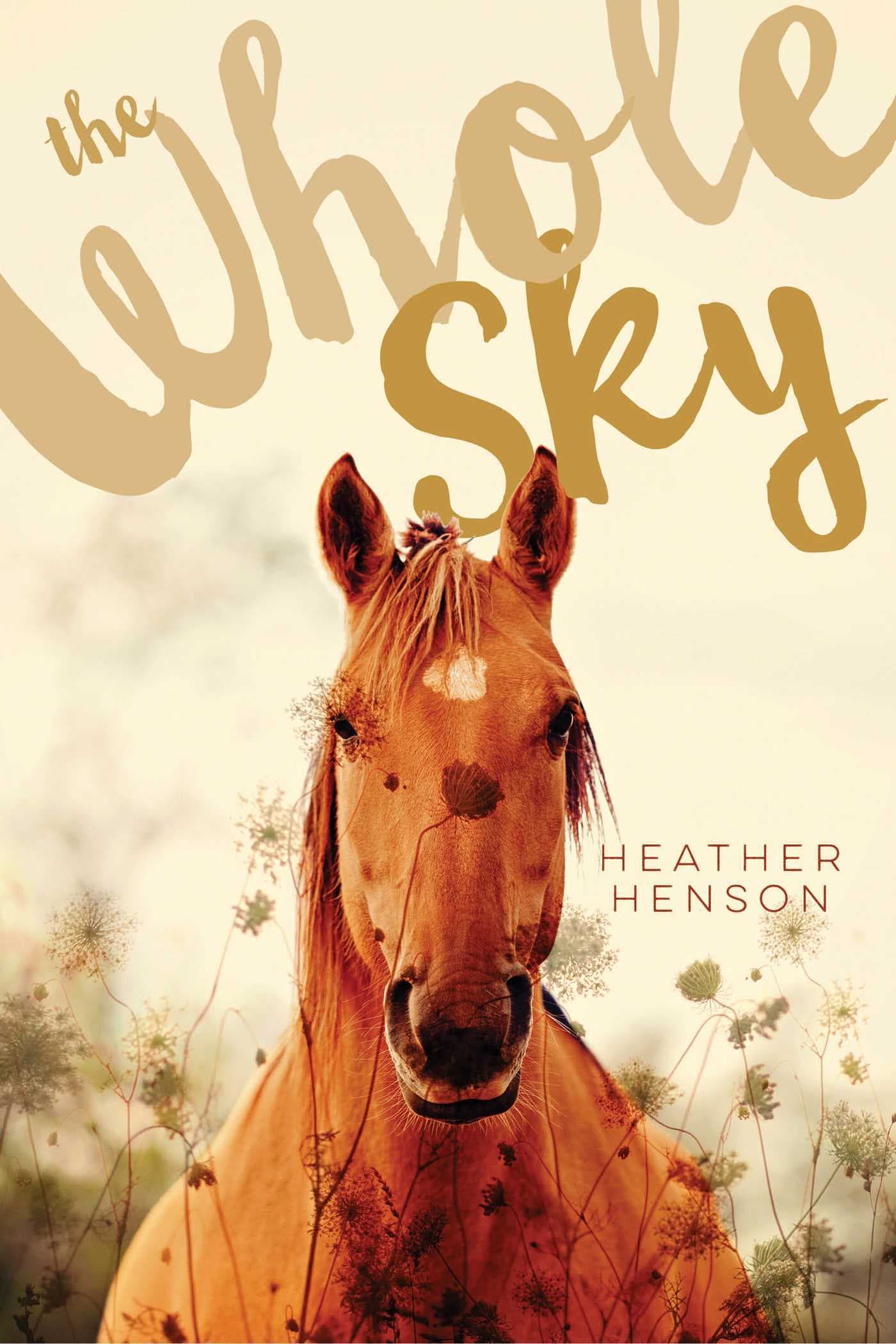 The Whole Sky book cover