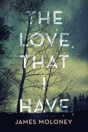 The Love That I Have book cover