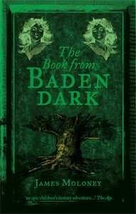 The Book from Baden Dark book cover