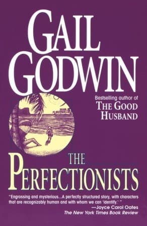 The Perfectionists book cover